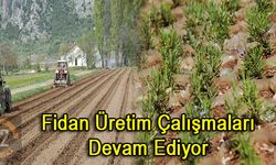 Eğirdir Fidanlık Müdürlüğünde Fidan Üretim Çalışmaları Devam Ediyor