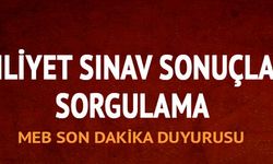 Ehliyet Sınav Sonuçları Açıklanıyor?