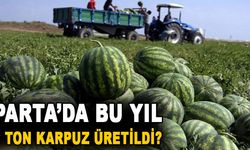 Isparta'da Bu Yıl Kaç Ton Karpuz Üretildi?