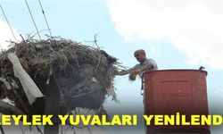 Yalvaç'ta Leylekler İçin Özel Yuva