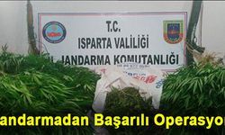 Yalvaç'ta Jandarma Uyuşturucu Operasyonu