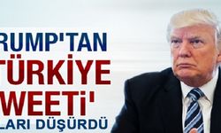 Trump'ın Tweeti Yan Etki Yaptı, Dolar Düşüşe Geçti