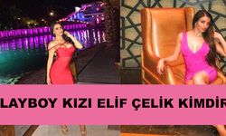 Playboy Dergisine Kapak Olan Elif Çelik Kimdir?