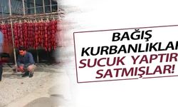 Bağış İçin Topladıkları Kurbanları Sucuk Yapıp Milyonları Kazandılar