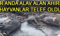 Sütçüler'de Ahır Yandı Bilanço Ağır