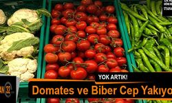 Domates ve Biber Cep Yakıyor