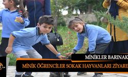 Minikler Sokak Hayvanlarını Ziyarette