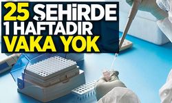 25 Şehirde 1 Haftadır Vaka Yok