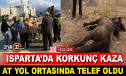 Isparta'da Korkunç Kaza! At Yol Ortasında Telef Oldu