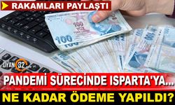 Isparta'ya Pandemi Döneminde Ne Kadar Ödeme Yapıldı?