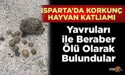 Son Dakika; Isparta'da Korkunç Hayvan Katliamı..!