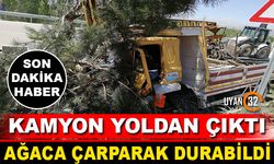 Kamyon Yoldan Çıktı, Ağaca Çarparak Durabildi: 3 Yaralı