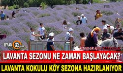 Lavanta Kokulu Köy Sezona Hazırlanıyor