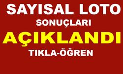 Sayısal Loto 24 Haziran 2020 Çarşamba Sonuçları