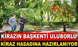 Uluborlu Kiraz Hasadına Hazırlanıyor