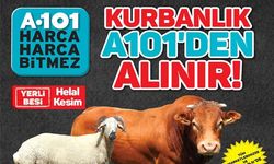 A101 Market Kurbanlık Fiyatları 2020