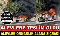 Bir Anda Alev Topuna Döndü Alevler Ormanlık Alana Sıçradı