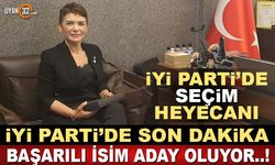 İyi Parti'de Seçim Heyecanı Başladı; Başarılı İsim Aday Oldu..!