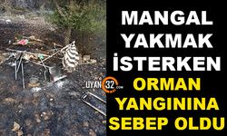 Mangal Yakmak İsterken Orman Yangınına Sebep Oldu