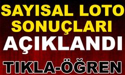 Sayısal Loto 18 Temmuz 2020 Sonuçları Açıklandı