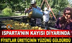 Isparta'nın Kayısı Diyarında Fiyatlar Üreticinin Yüzünü Güldürdü