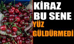 Uluborlu'da Kiraz Üretimi Düştü: Bu Sene Yüz Güldürmedi