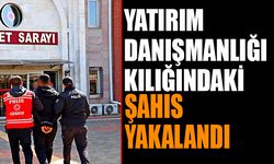 Dolandırıcılık Olayı: Yatırım Danışmanı Kılığındaki şahıs yakalandı