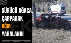 Isparta’da Trafik Kazası: Sürücü Ağaca Çarparak Ağır Yaralandı