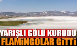 Yarışlı Gölü Kurudu, Flamingolar Gitti