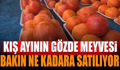 Kış ayının gözde meyvesi bakın ne kadara satılıyor