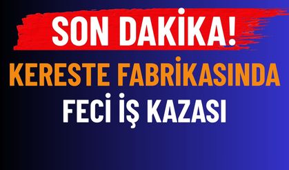 Burdur'da Kereste Fabrikasında Feci İş Kazası