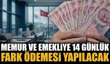 14 Günlük Maaş Farkı Ne Zaman Hesaplara Yatacak? Memur ve Emekliler Bekliyor