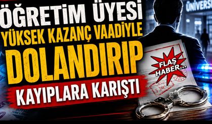 Öğretim üyesi yüksek kazanç vaadiyle dolandırıp kayıplara karıştı