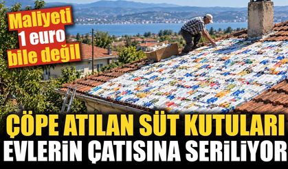 Maliyeti 1 euro bile değil: Çöpe atılan süt kutuları evlerin çatısına seriliyor