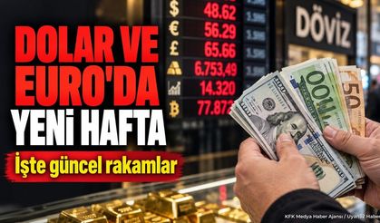 Döviz Kurlarında Haftanın İlk Günü: Dolar ve Euro Fiyatları Belli Oldu