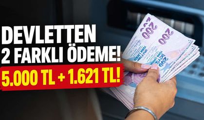 Devletten 2 Farklı Ödeme! Şartları Taşıyan Ailelere Toplam 6.621 TL Destek