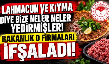 Lahmacun ve Pide diye bize neler neler yedirmişler! Bakanlık o firmaları ifşaladı