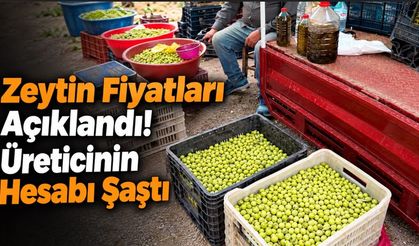 Zeytin Fiyatları Açıklandı! Üreticinin Hesabı Şaştı