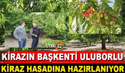 Uluborlu Kiraz Hasadına Hazırlanıyor