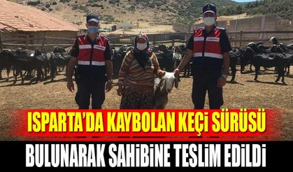 Kaybolan Keçi Sürüsü Bulunarak Sahibine Teslim Edildi