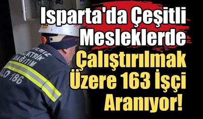 Isparta'da Çeşitli Mesleklerde Çalıştırılmak Üzere 163 İşçi Aranıyor!