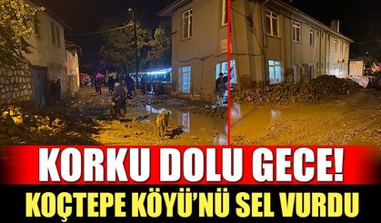 Koçtepe Köyü'nde korku dolu gece! Hayvanlar Telef oldu, Evler ve Ağıllar Büyük Zarar Gördü...