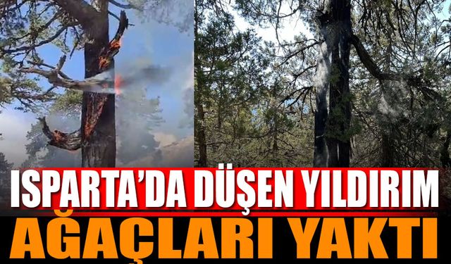 Isparta'da düşen yıldırım sonucu ağaçlar alev aldı