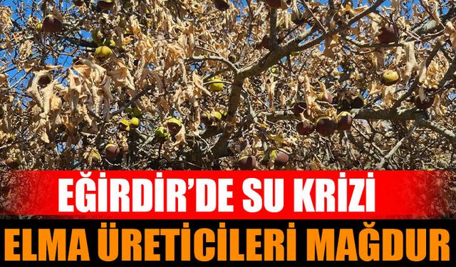 Eğirdir’de Su Krizi: Elma Üreticileri Mağdur