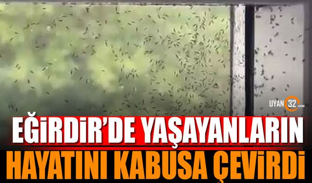 Eğirdir'de yaşayanların hayatını kabusa çevirdi