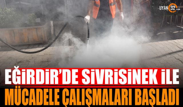 Eğirdir'de Sivrisinekle Mücadele Çalışmaları Sürüyor