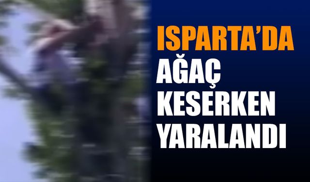 Isparta'da Ağaç Keserken Yaralandı