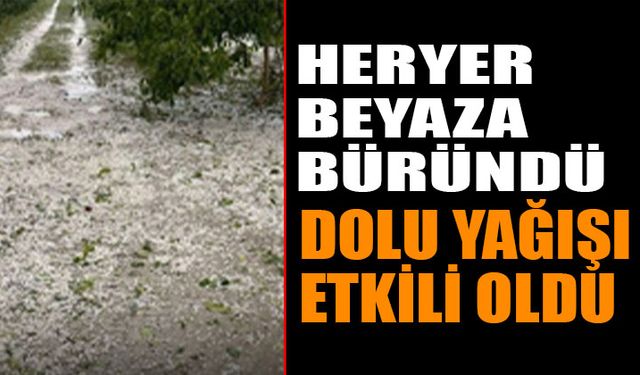 Isparta'da Sağanak ve Dolu Yağışı Zor Anlar Yaşattı