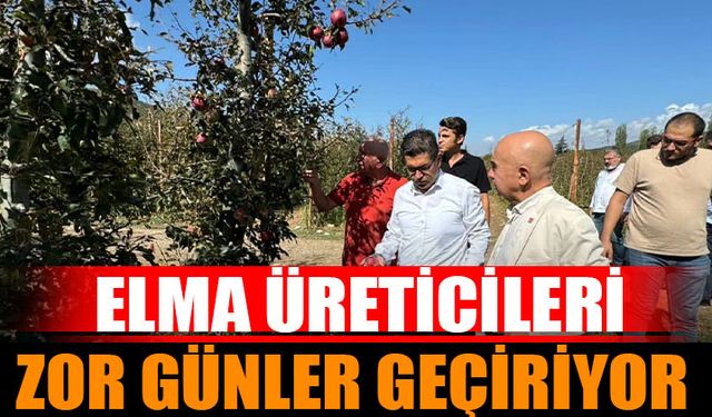 Isparta'da Elma Üreticileri Zor Günler Geçiriyor