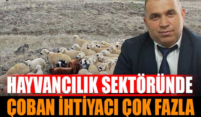 Çoban İhtiyacı Tüm Sektörlerdeki Açıkları Geride Bıraktı